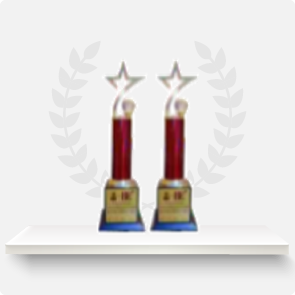 Sustainable Marketing Excellence Award & Emerging Brand Award at ABP News Brand Equity Awards,2019