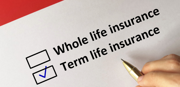 What's a Single Payment Term Insurance and How is it Beneficial?