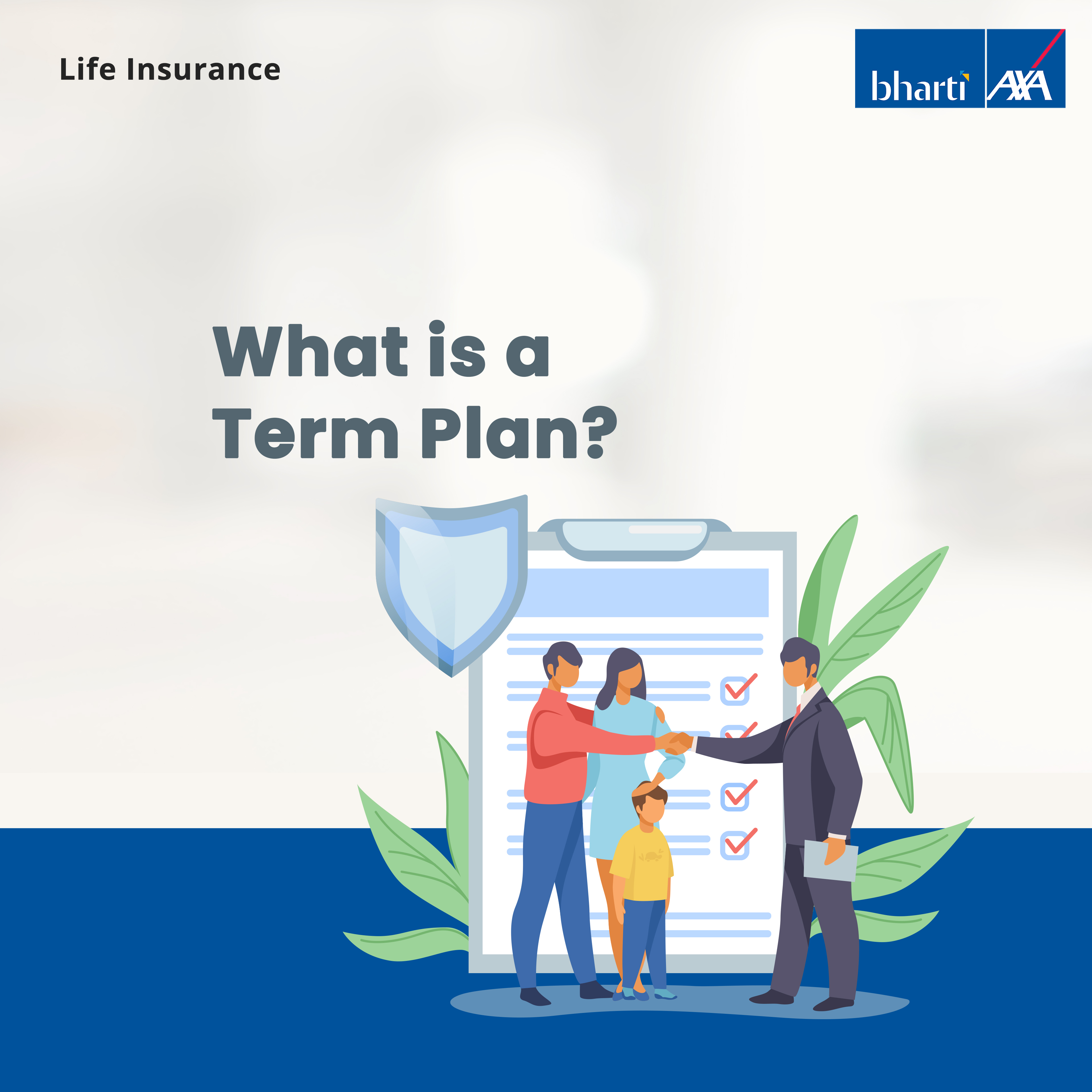 Term Plan a type of Life Insurance with a good coverage